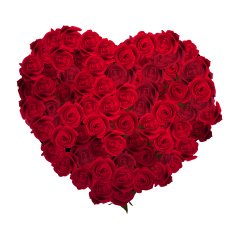 Valentines Day Heart Made of Red Roses EPS 10