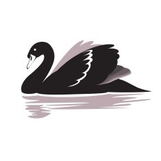 Swan N7