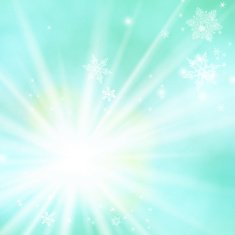 Vector card with winter sun and snowflakes N6