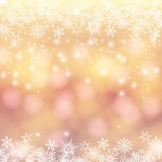 Vector card with winter sun and snowflakes N7
