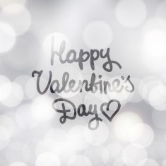 Valentine's Day N238