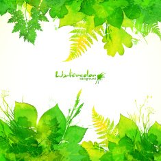 Green summer foliage vector background N4