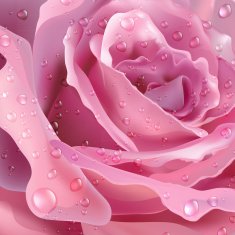 Rose Vector background for your design N2