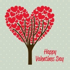 Valentines Day N348