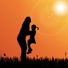 Vector silhouette of nature N18