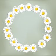 Ring of daisies (Loves me loves me not &hellip;)