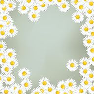 Frame of joyful daisies (Loves me loves me not &hellip;)