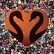 swans in Love