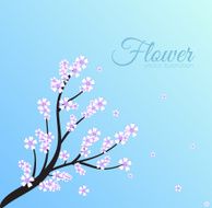 concept of floral branch on blue background