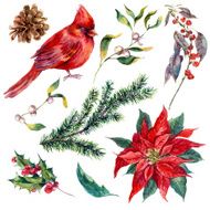 Set vintage watercolor Christmas elements of holly poinsettia