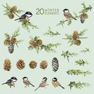 Retro Birds and Winter Elements - in Watercolor Style