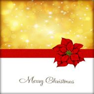 Merry Christmas! N6