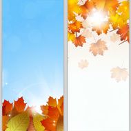 Autumn banners N4
