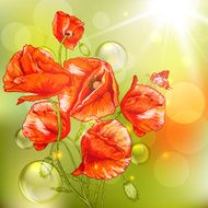 Bunch of Beautiful Red Poppy with Lights N2