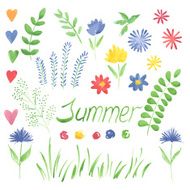 Vector Summer Flowers Watercolor N2