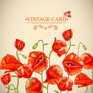 Bunch of Beautiful Red Poppy vector illustration N5