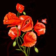 Bunch of Beautiful Red Poppy vector illustration N6