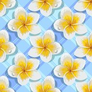 Seamless background tropical flowers plumeria