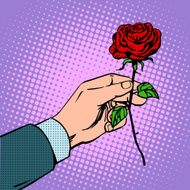 man gives flower rose