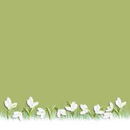 Spring background with snowdrops