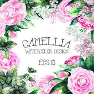 Watercolor camellia card