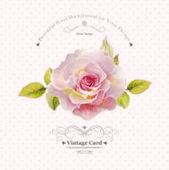 Vintage vector Watercolor Roses