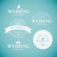 Classic wedding vintage badge N17