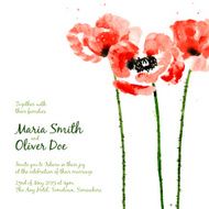 Vector background with red watercolor poppies N4