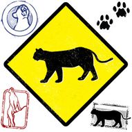 Cougar Territory