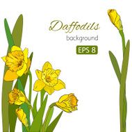 Vintage card with cute daffodils on white background N2