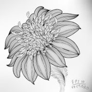 Floral Elements for design N40