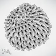 Floral Elements for design N42