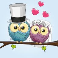 Two Owls N7