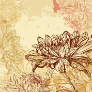 Chrysanthemum background N3
