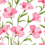 Beautiful alstroemeria N2