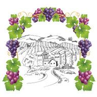 Vineyard landscape N2