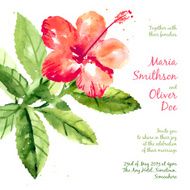 Vector background with red watercolor hibiscus N3