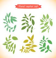 Collection of drawn branches Decorative curly elements