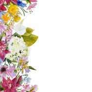 watercolor floral seamless border N3