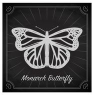 Monarch Butterfly Chalk