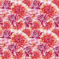 Seamless pattern with red dahlia N3