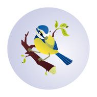 Bluetit