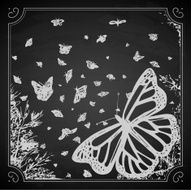 Butterfly Chalk Print