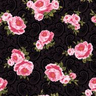 repetition of the rose N49