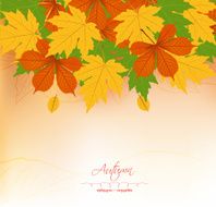 Autumn background with leaves Back to school