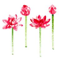 Vector set with red watercolor lotus