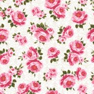 repetition of the rose N50