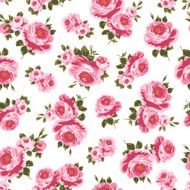 repetition of the rose N51