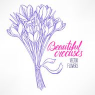 bouquet of sketch crocuses