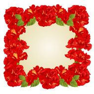 Frame of red hibiscus and leaves vector
